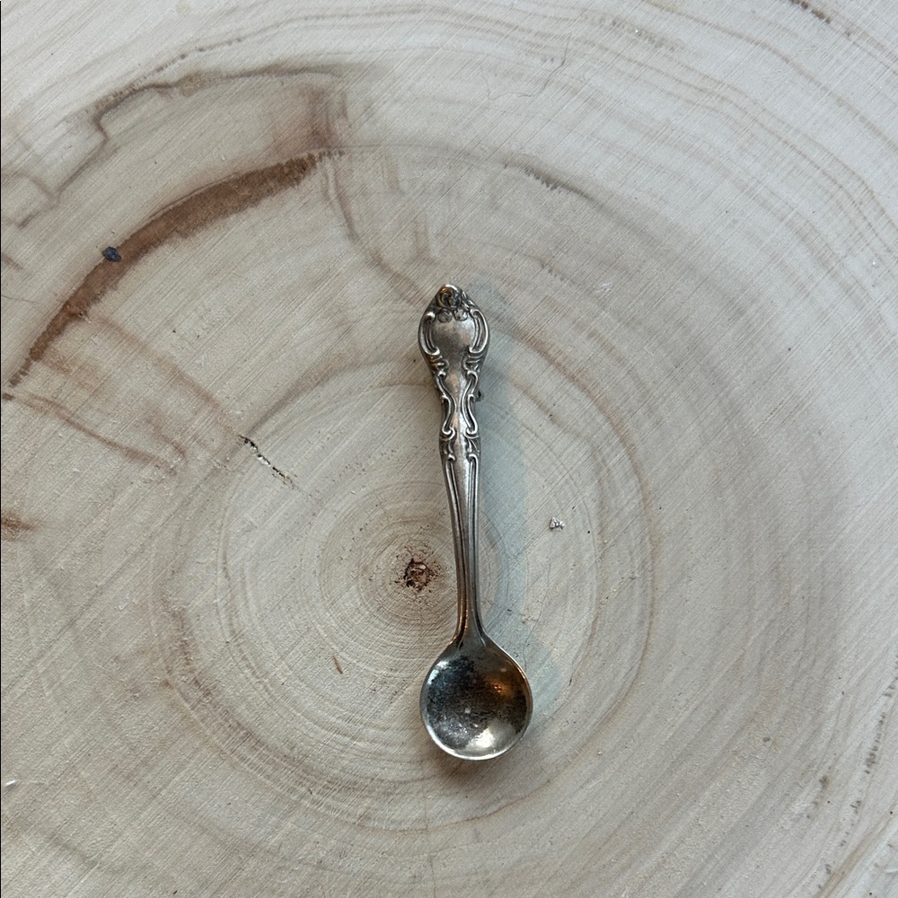 Intricate Silver Spoon